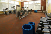Thumbnail 25 of 39 - Free Weights In Gym at Talavera at the Junction Apartments & Townhomes, Utah