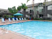 Thumbnail 14 of 42 - Relaxing Pool at Canyon Club Apartments