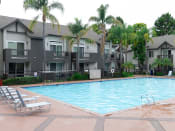 Thumbnail 16 of 42 - View of Pool at Canyon Club Apartments