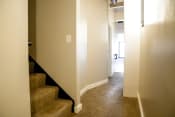 Thumbnail 34 of 82 - a hallway with carpeted stairs and white walls
