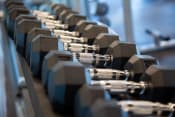 Thumbnail 46 of 52 - Fitness Center with Weights | 511 Meeting