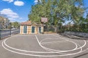 Thumbnail 34 of 34 - a basketball court in front of a brick building with a tree