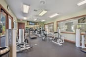 Thumbnail 17 of 23 - the gym at the preserve apartments