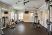 Thumbnail 10 of 21 - Fitness center with weight machines |Ballantrae