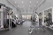 Thumbnail 10 of 45 - Fitness Center | Floresta