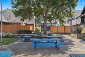 Thumbnail 14 of 44 - our picnic tables are set up in our back yard with benches and trees