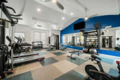 Thumbnail 7 of 25 - a gym with weights and other exercise equipment and a television