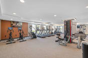 Thumbnail 6 of 59 - a room filled with lots of different types of exercise equipment