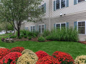 Thumbnail 6 of 65 - the front yard of a house with green grass and flowers