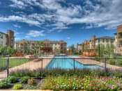Thumbnail 6 of 28 - the preserve at ballantyne commons community swimming pool and gardens