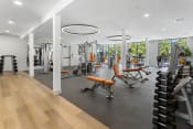 Thumbnail 26 of 50 - the gym is equipped with weights and cardio equipment