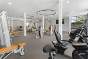 Thumbnail 25 of 50 - a gym with cardio equipment and weights in a building