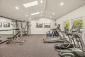 Thumbnail 3 of 42 - a home gym with treadmills and exercise machines
