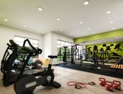 Thumbnail 9 of 27 - a rendering of a gym with weights and other exercise equipment