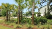 Thumbnail 5 of 18 - a group of palm trees in front of a house