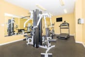 Thumbnail 15 of 18 - our apartments have a gym with plenty of equipment