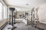 Thumbnail 26 of 29 - the gym at the enclave at woodbridge apartments in sugar land, tx