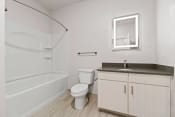 Thumbnail 9 of 71 - a bathroom with a sink toilet and a bath tubat Metropolis Apartments, Glen Allen Virginia