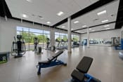 Thumbnail 37 of 71 - a gym with cardio equipment and weights in a building with large windowsat Metropolis Apartments, Glen Allen, 23060