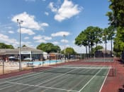 Thumbnail 8 of 15 - Apartments in Richmond Tennis Courts