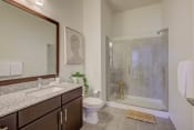 Thumbnail 43 of 51 - Bathroom With Bathtub at The Lincoln Apartments, North Carolina