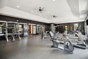Thumbnail 18 of 58 - a gym with weights and cardio equipment on the floor and a ceiling fan
