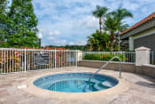 Thumbnail 41 of 42 - The Landings at Boot Ranch | Palm Harbor FL | Resort Style Pool & Hot Tub