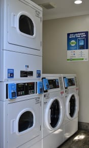 Thumbnail 5 of 29 - View of laundry facility with multiple washers and dryers