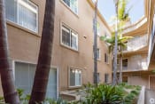 Thumbnail 4 of 6 - Palm Trees Inside Apartments at 3623 Jasmine Avenue, California, 90034