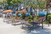 Thumbnail 29 of 48 - a row of park benches with umbrellas and trees in the background at La Serena, San Diego, CA, 92128