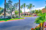 Thumbnail 21 of 28 - Beautiful, lush curb appeal at Ventana Apartment Homes in Central Scottsdale, AZ, For Rent. Now leasing 1 and 2 bedroom apartments.