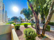 Thumbnail 18 of 28 - Walking pathways throughout the community at Ventana Apartments in Scottsdale, AZ!