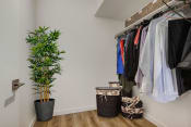 Thumbnail 13 of 38 - a walk in closet with a plant and baskets on the floor