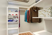Thumbnail 3 of 17 - Spacious walk-in closet with wood-style floors