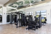 Thumbnail 22 of 48 - large fitness center with strength and cardio equipment at Lake Nona Concorde