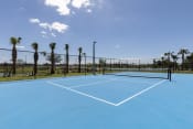 Thumbnail 19 of 48 - a blue tennis court with palm trees in the background at Concorde