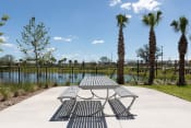Thumbnail 21 of 48 - a picnic table near palm trees and the pond at Lake Nona Concorde