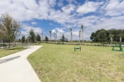 Thumbnail 40 of 44 - Fenced-in leash-Free Pet Park with agility course at Residences at The Green in Lakewood Ranch, FL