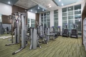 Thumbnail 36 of 44 - massive fitness center with techno-gym equipment at Residences at The Green Apartments for rent in Lakewood Ranch