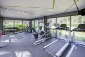 Thumbnail 28 of 32 - Fitness Center at The Oasis Apartments, Florida