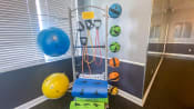 Thumbnail 10 of 11 - Fitness center with yoga balls, medicine balls, yoga mats, resistance bands and wall made up of mirrors