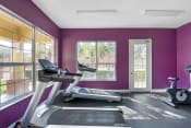 Thumbnail 2 of 8 - Fitness Center with Purple Walls, Exercise Equipment  and Windows