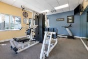 Thumbnail 4 of 22 - Fitness center strength training equipment, cardio equipment, wall mounted television, wall mirrors, and window for natural lighting