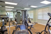 Thumbnail 4 of 24 - Fitness center with strength and conditioning equipment and large windows for natural lighting