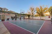 Thumbnail 7 of 12 - Aviare Cupertino CA Basketball Court