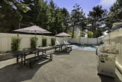 Thumbnail 6 of 18 - Well-Maintained Outdoor Grill and Picnic Tables at Park 210 Apartment Homes, Edmonds, WA