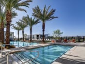 Thumbnail 11 of 20 - Invigorating Swimming Pool at AVE Phoenix Terra, Phoenix, 85003
