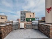 Thumbnail 10 of 33 - The Patricians Apartments Lincoln Park Chicago Roof Deck Grills