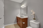 Thumbnail 37 of 39 - a small bathroom with gray walls and a white toilet | Centerpointe Apartments in Camp Hill