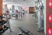 Thumbnail 3 of 21 - a gym with cardio equipment and weights on the floor